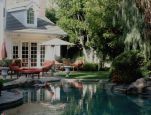 The Difference Between Pool Cleaning and Pool Management